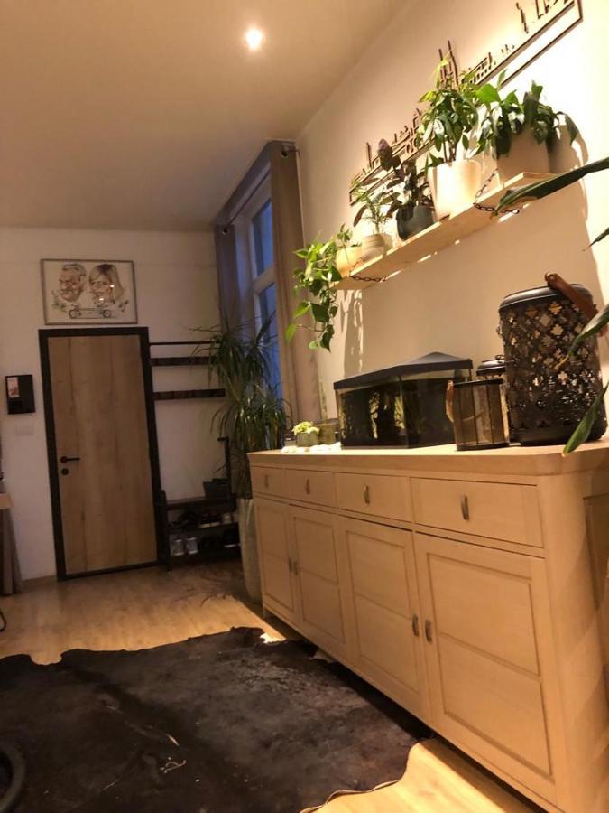 Studio Dream On Met Zonnige Terras Apartment ออสเทนด์ ภายนอก รูปภาพ